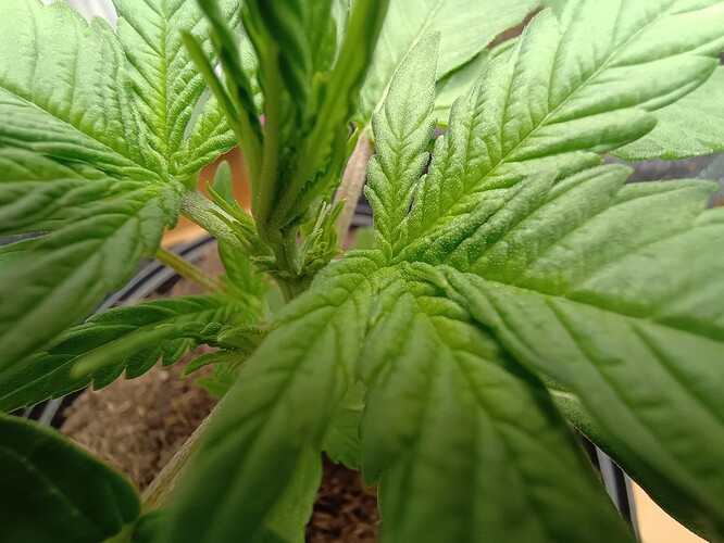 IMG_20240507_195705341