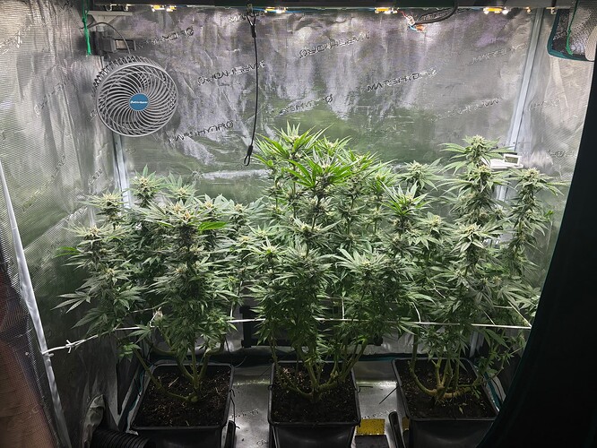 Foto 19.07.25, 05 57 27