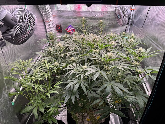 Growreport Bild 1