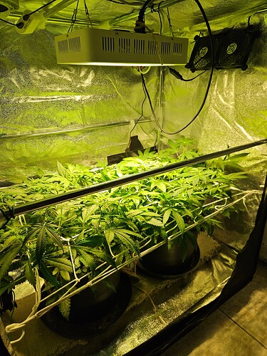 Growreport Bild 9