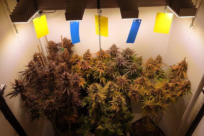 Growreport Bild 9