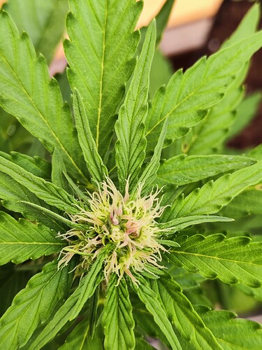 Growreport Bild 10