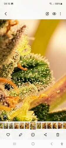 Growreport Bild 42