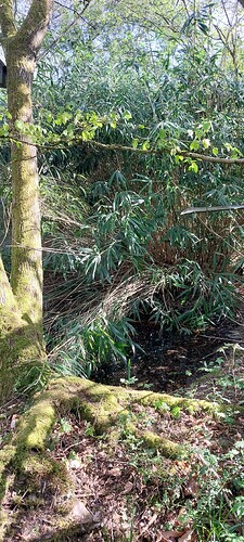 20250409_165212