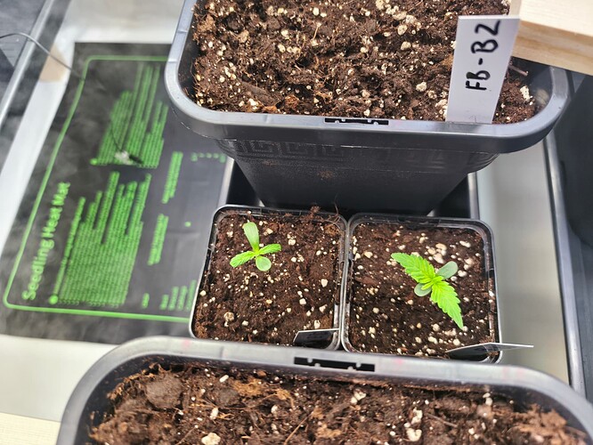 Growreport Bild 22