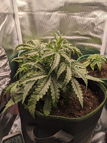 PXL_20240514_225923554