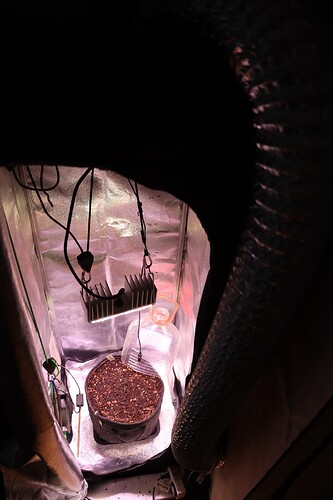 Growreport Bild 8