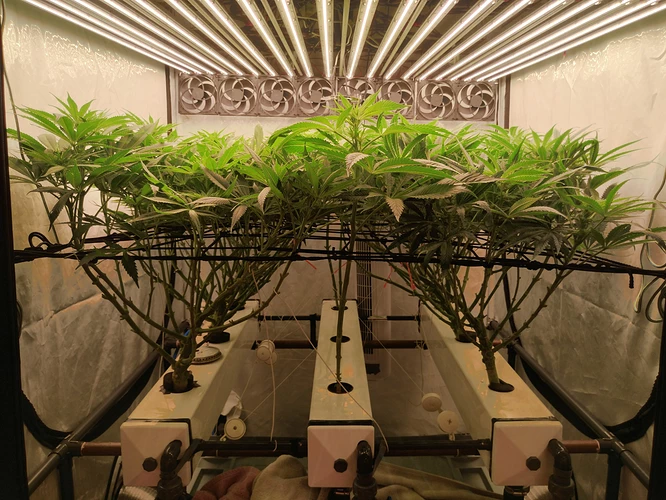 IMG_20240621_003752_HDR