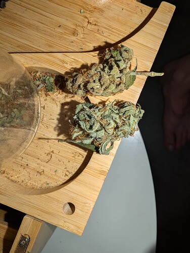Growreport Bild 14