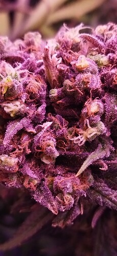 Growreport Bild 6