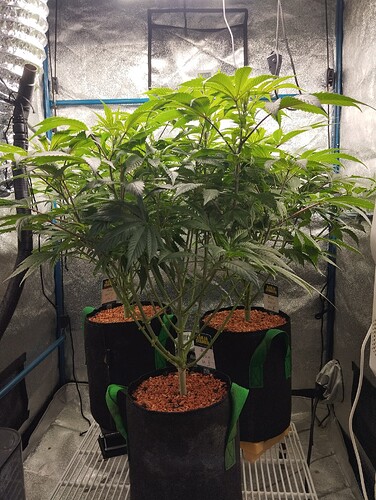 Growreport Bild 10