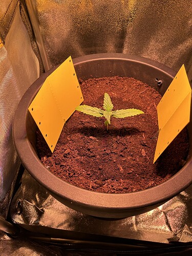 Growreport Bild 1