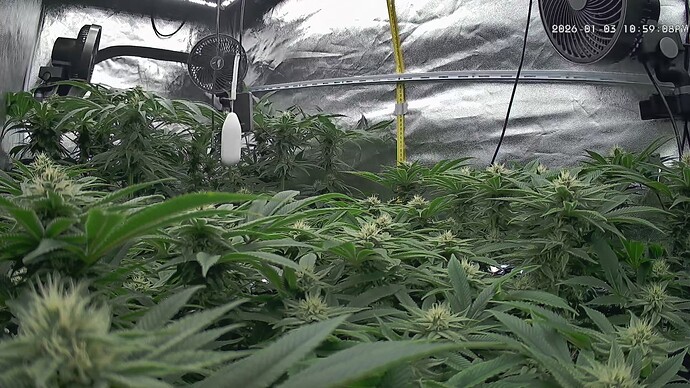 Growreport Bild 53