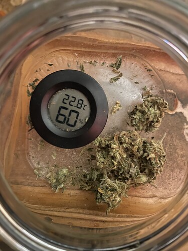 Growreport Bild 6