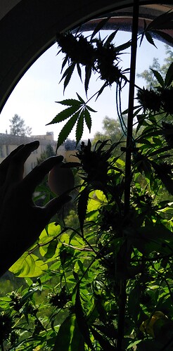 Growreport Bild 3