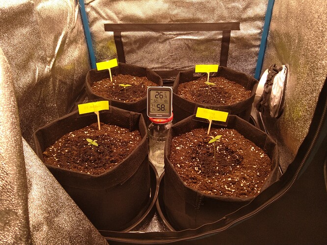 Growreport Bild 6