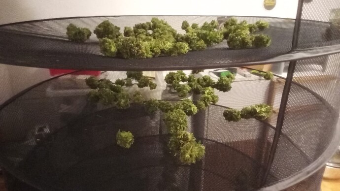 Growreport Bild 15