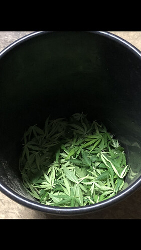 Growreport Bild 11