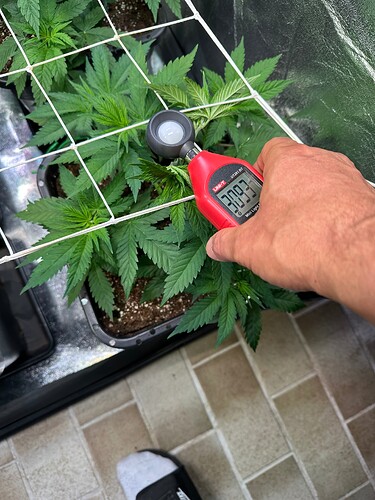 Growreport Bild 73
