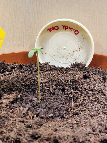 WhatsApp Image 2024-04-29 at 11.19.28