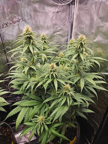 Growreport Bild 21
