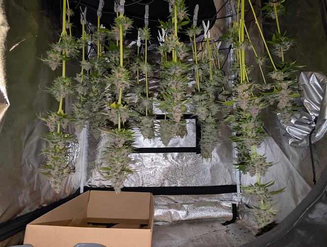 Growreport Bild 6