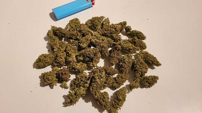 Growreport Bild 31