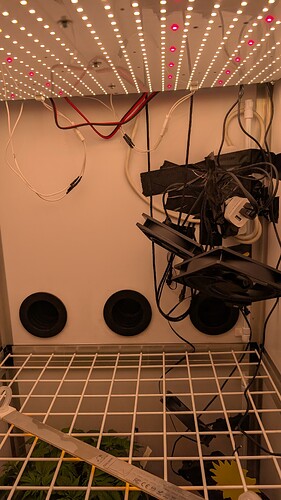 PXL_20250413_080647636.MP