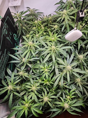 MVIMG_20251028_175541