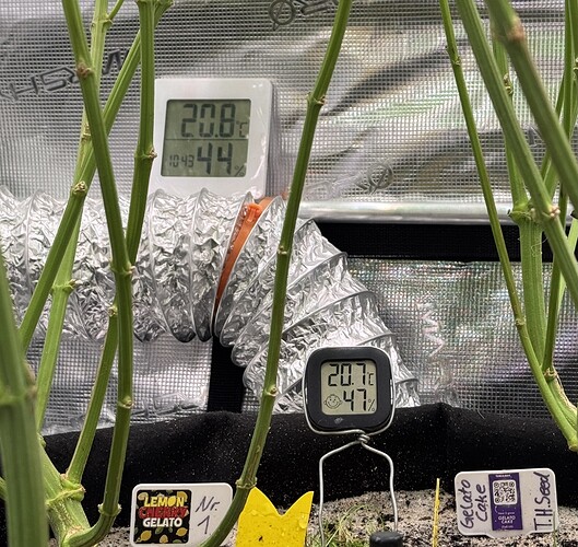 Growreport Bild 4