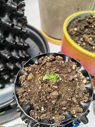 Growreport Bild 4