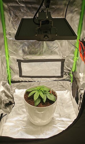 Growreport Bild 3