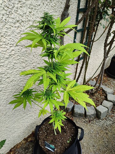 Growreport Bild 20