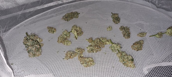 Growreport Bild 55