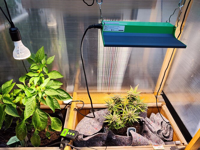 Growreport Bild 14