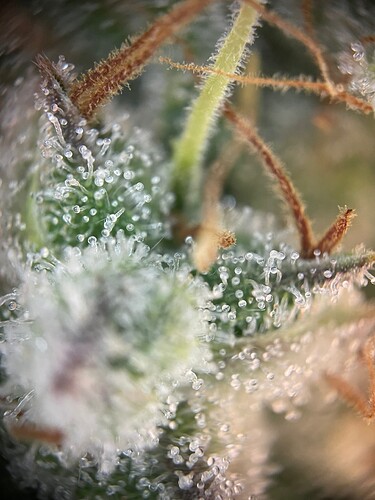 Growreport Bild 14