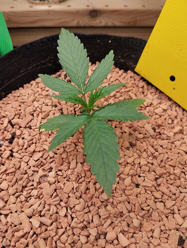 Growreport Bild 18