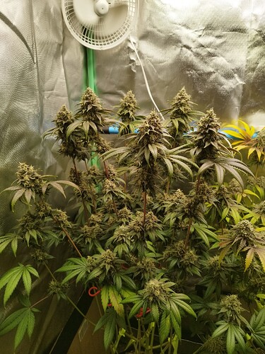 Growreport Bild 14
