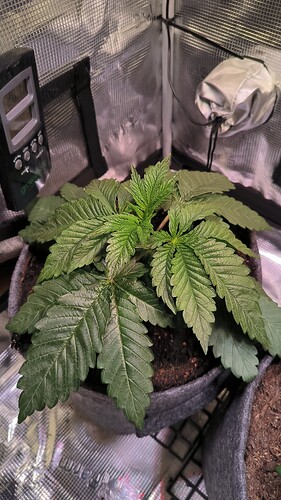 Growreport Bild 5