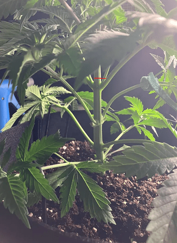 Growreport Bild 15