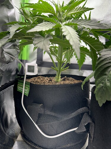 Growreport Bild 8
