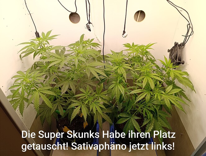 Growreport Bild 30
