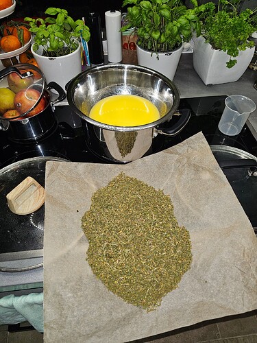 Growreport Bild 11