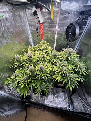 Growreport Bild 11