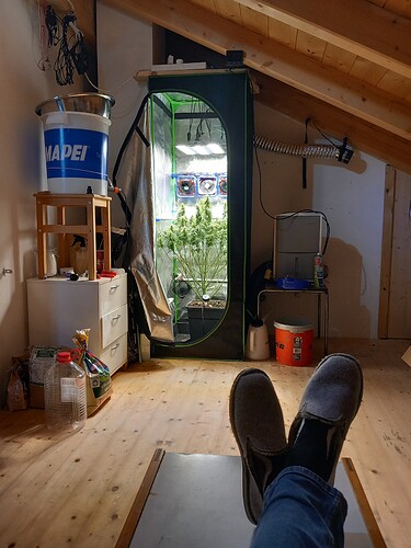 Growreport Bild 3