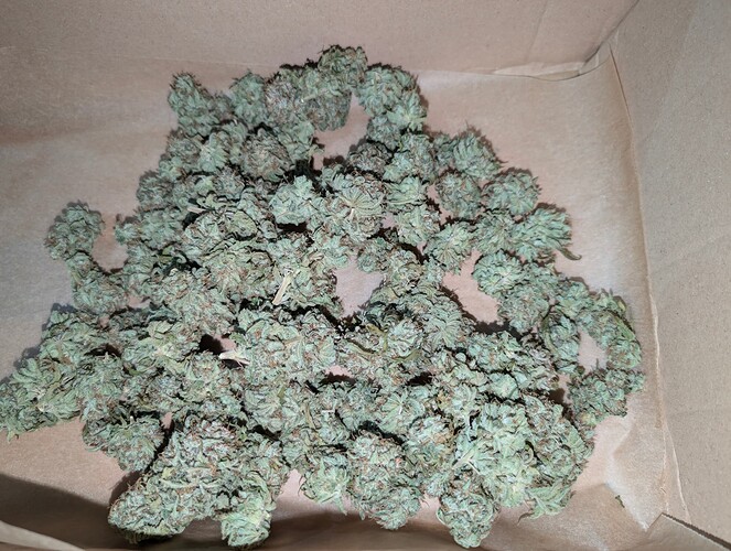 Growreport Bild 24