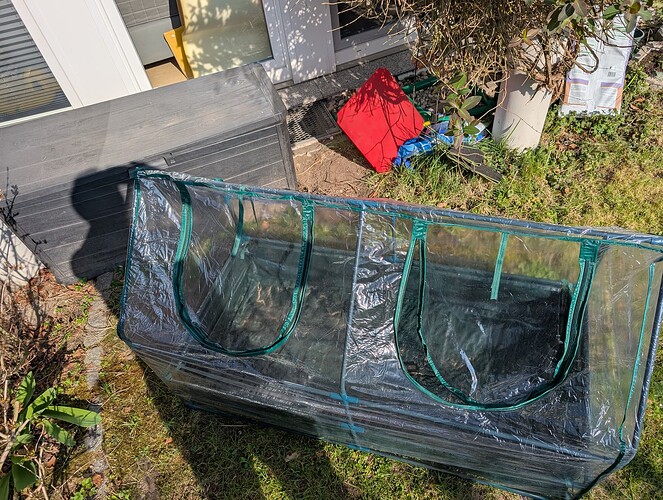 PXL_20250327_135413530