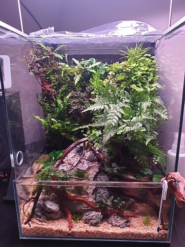 Growreport Bild 25