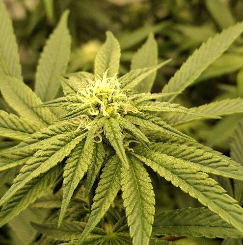 475268434_122165273540293599_3827377516464479777_n