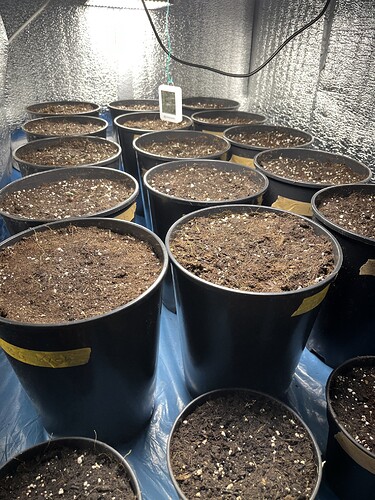 Growreport Bild 7